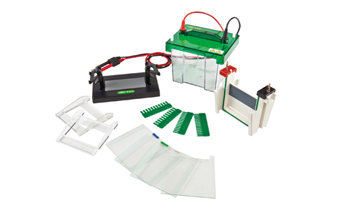 Mini-Protean Vertical Electrophoresis Cell YR03425